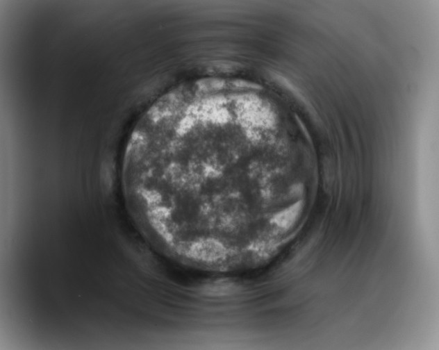 X0000089710451200707201804