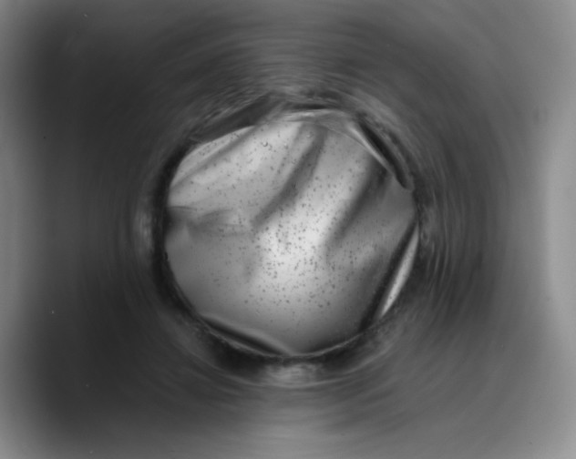 X0000089710452200707201804