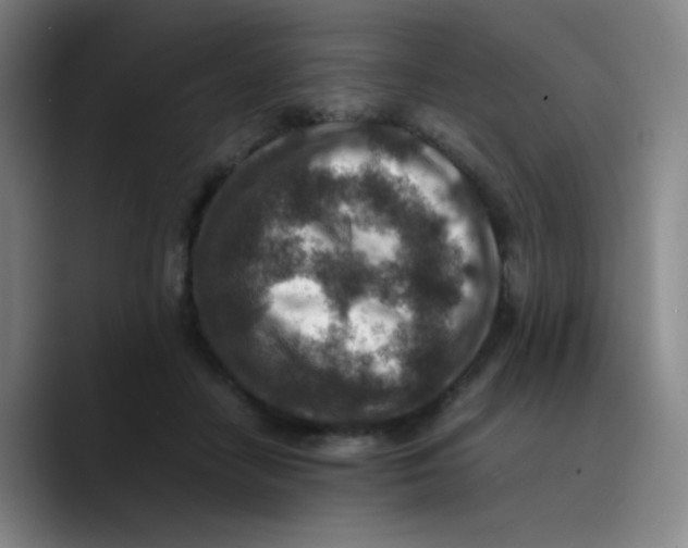 X0000089710458200707201804