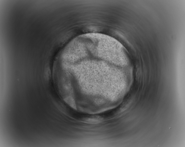 X0000089710459200707201804