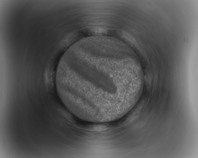 X0000089710462200707201804