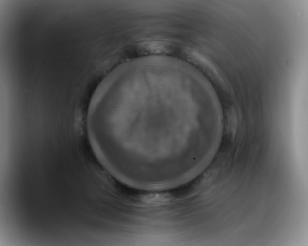 X0000089710465200707201804