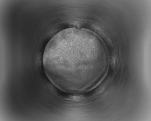 X0000089710466200707201804