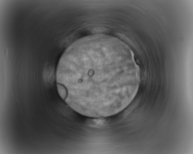 X0000089710478200707201804