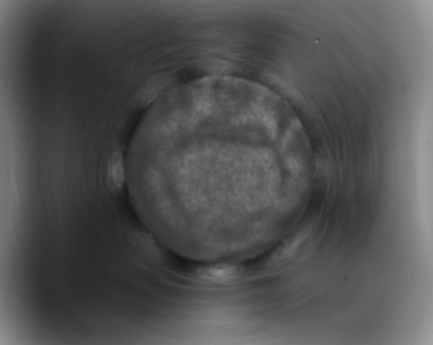 X0000089710479200707201804