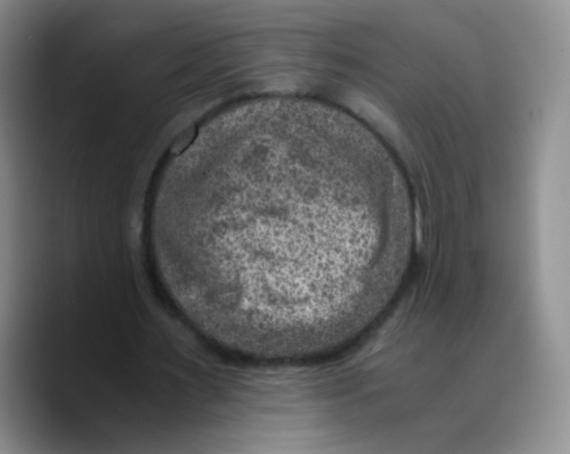 X0000089710483200707201803