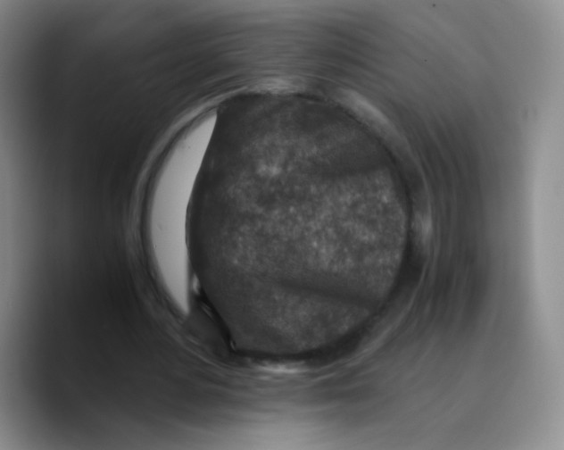 X0000089710484200707201803