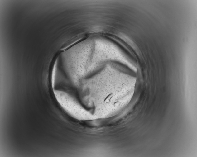 X0000089710485200707201803