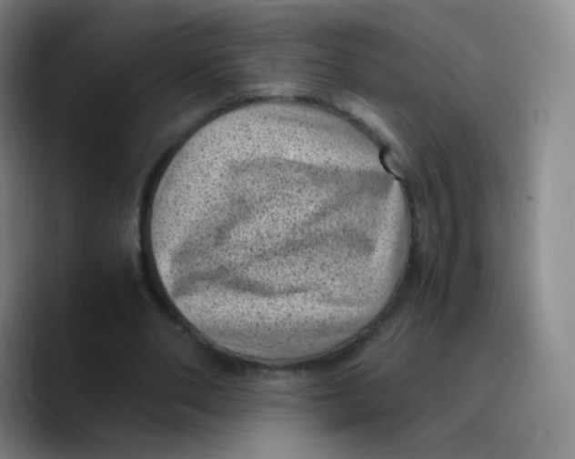 X0000089710486200707201803