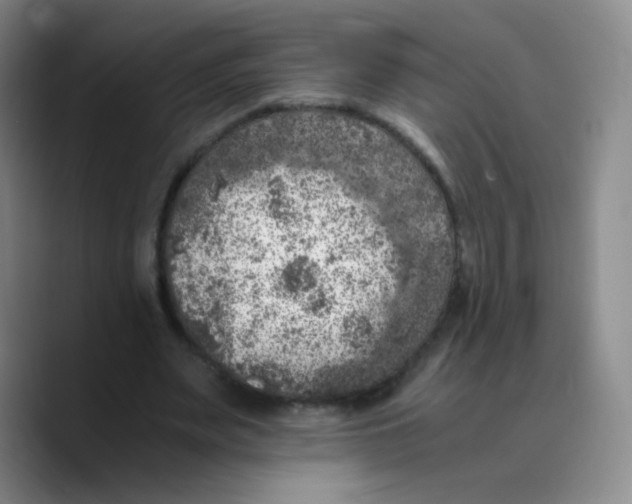 X0000089710487200707201803