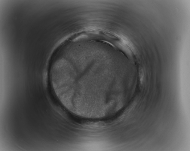X0000089710488200707201803