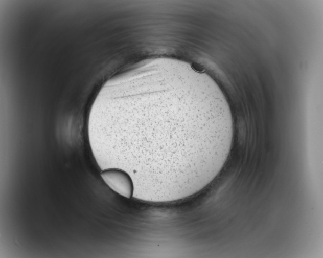 X0000089710490200707201803