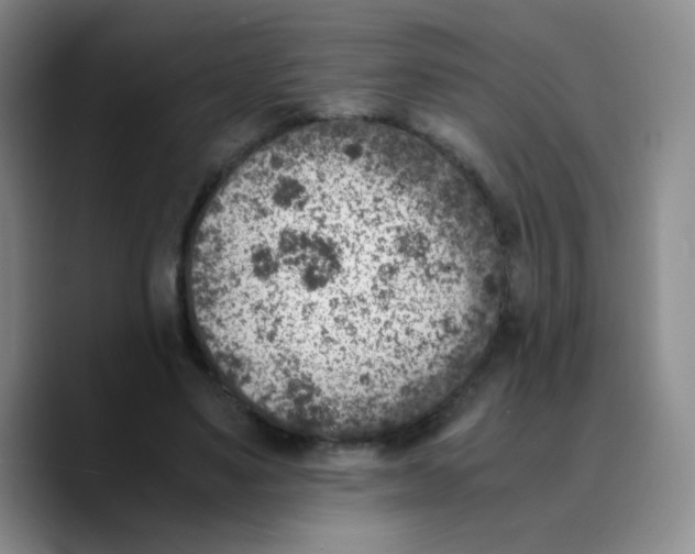 X0000089710491200707201803
