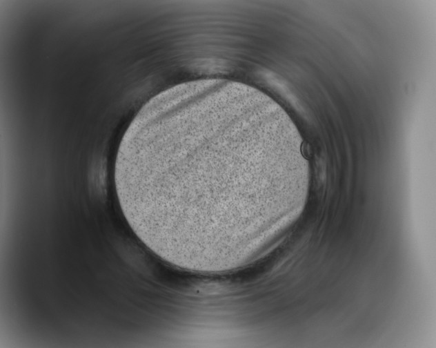 X0000089710494200707201803