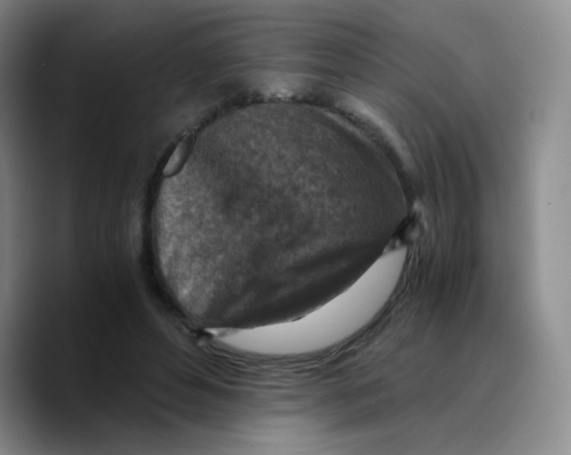 X0000089710496200707201803