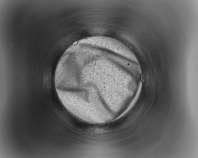 X0000089710498200707201803