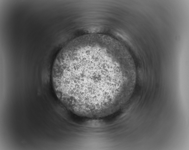 X0000089710499200707201803