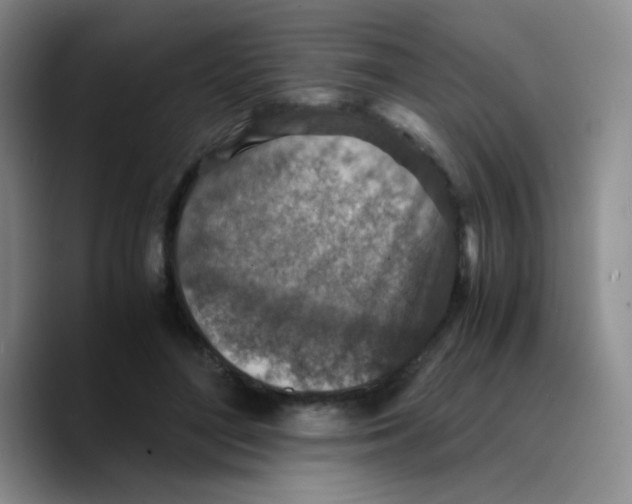 X0000089710500200707201803