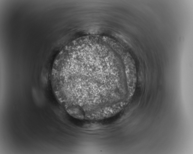 X0000089710503200707201803