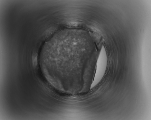 X0000089710504200707201803