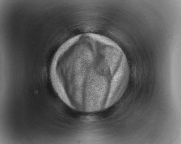 X0000089710506200707201803