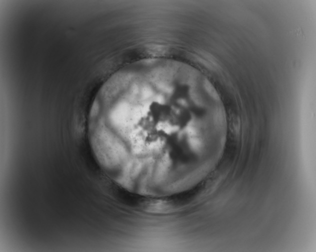 X0000089710507200707201803