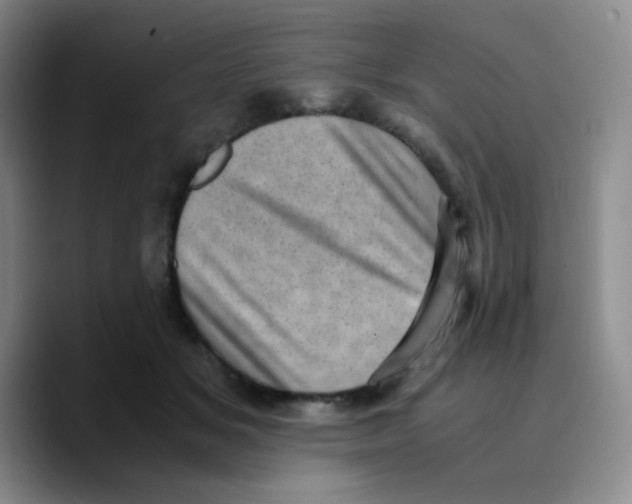 X0000089710509200707201803