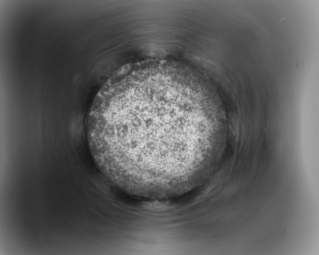X0000089710511200707201803