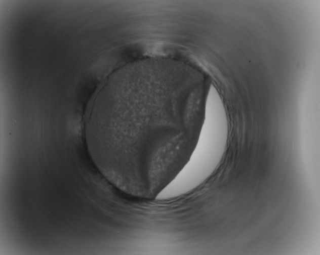 X0000089710513200707201803