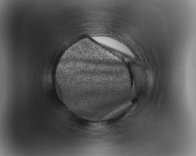 X0000089710516200707201803