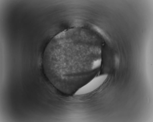 X0000089710517200707201803