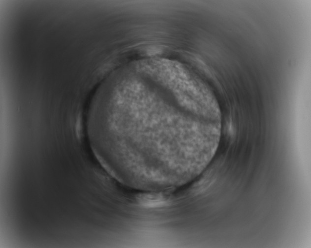 X0000089710524200707201803