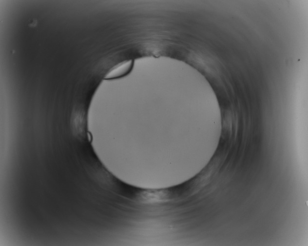 X0000089710526200707201803