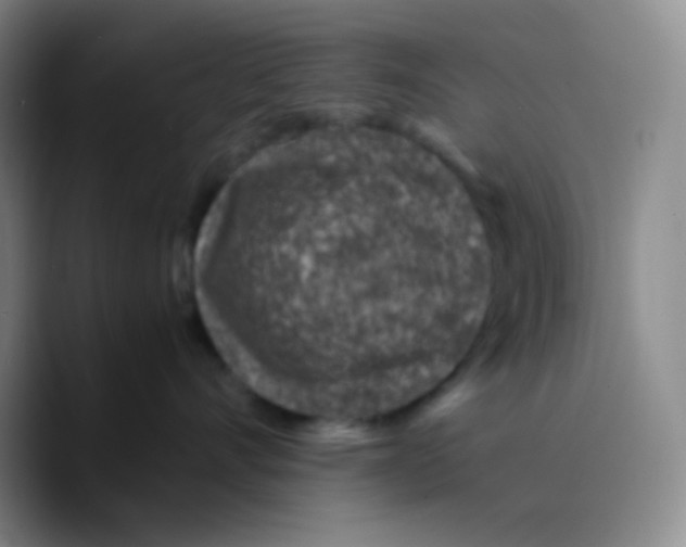 X0000089710528200707201803