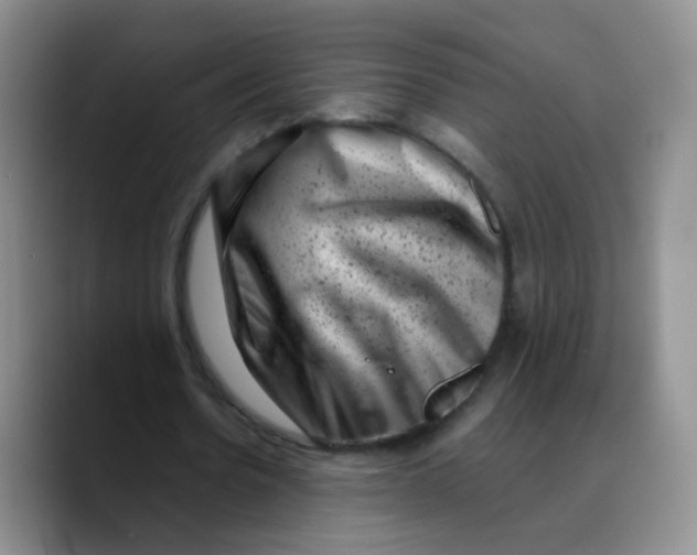 X0000089710530200707201802