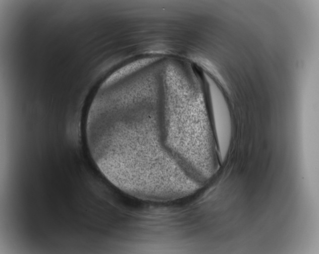 X0000089710531200707201802