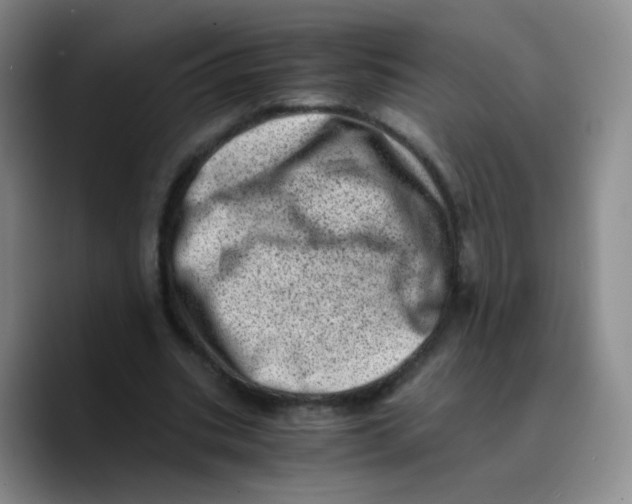 X0000089710535200707201802