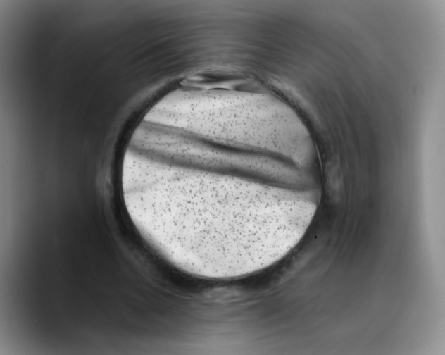 X0000089710536200707201802