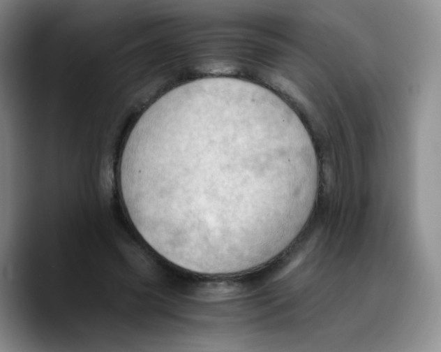 X0000089710541200707201802