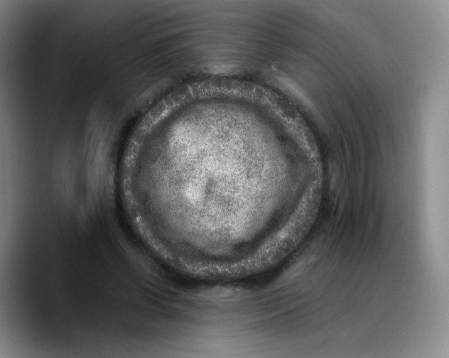 X0000089710542200707201802