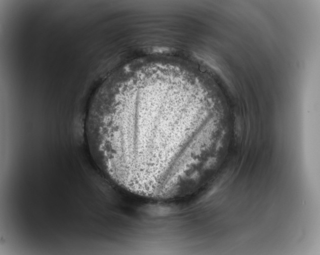 X0000089710545200707201802