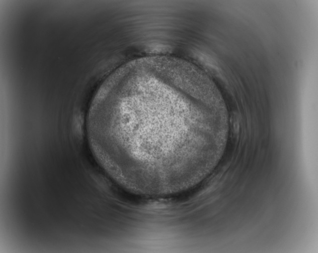 X0000089710550200707201803