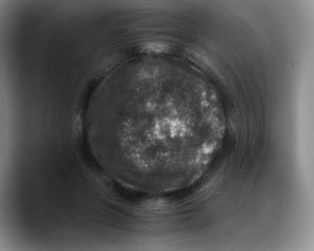 X0000089710551200707201803