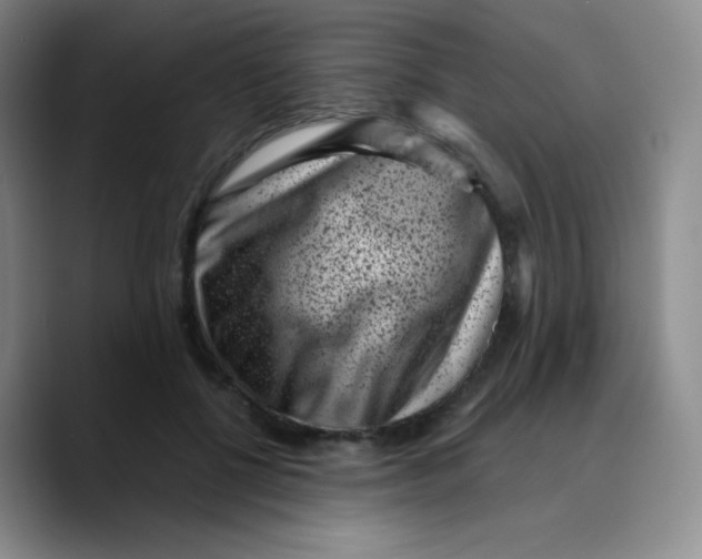 X0000089710552200707201803
