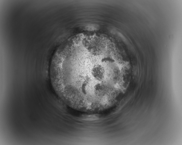 X0000089710553200707201803
