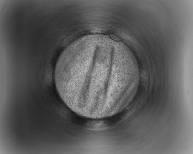 X0000089710554200707201803