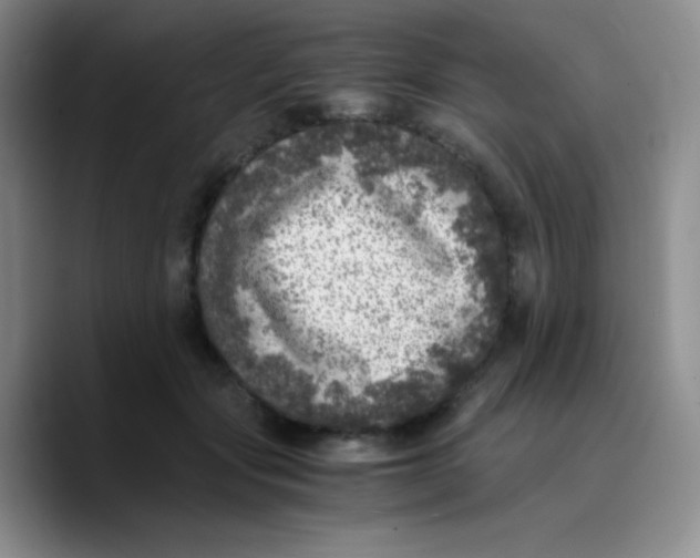 X0000089710557200707201803