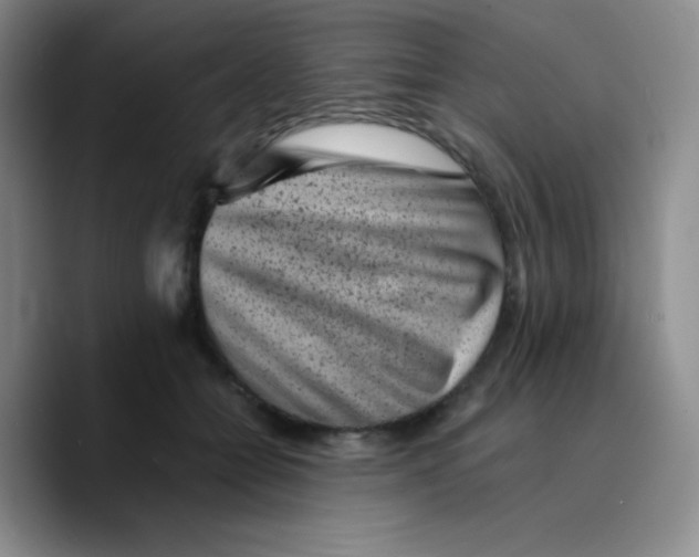 X0000089710558200707201803