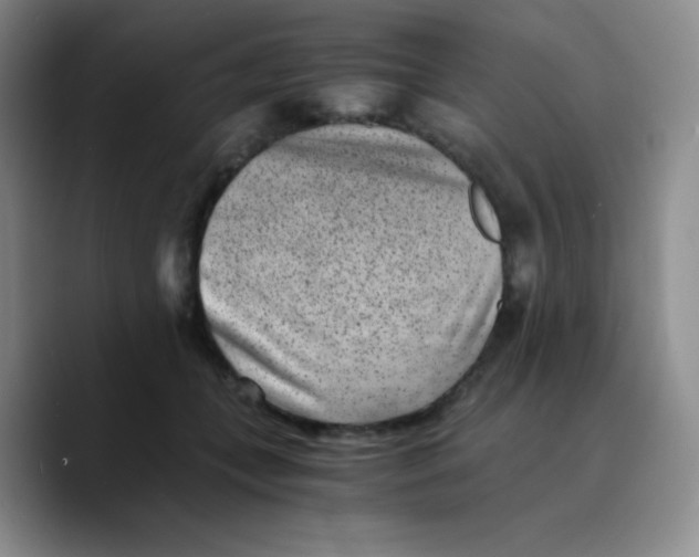 X0000089710559200707201803