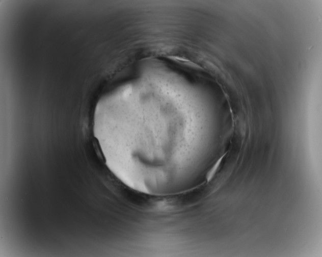 X0000089710564200707201803